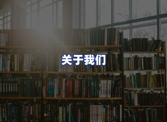 专业团队